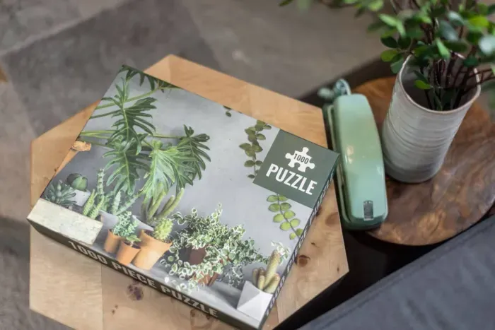 Cozy up with a puzzle, book or game! An emergency landline telephone is also installed in the home and located in the game room