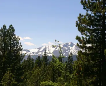 An awesome view of Mt Tallac from the deck and living room.