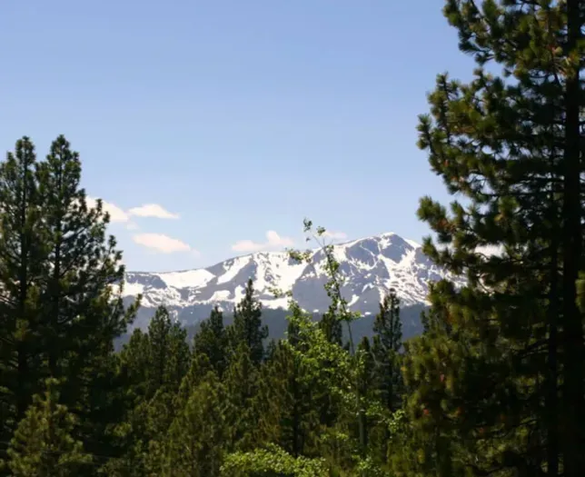 An awesome view of Mt Tallac from the deck and living room. 