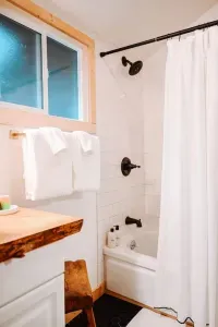 Black Cabin - image 32 of 63