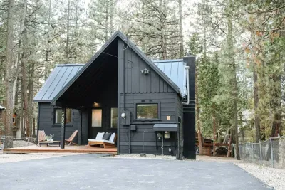 Black Cabin - image 56 of 63