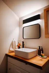 Black Cabin - image 30 of 63
