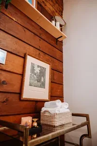 Black Cabin - image 35 of 63