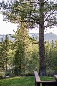The view from our back deck towards Echo Summit and the Sierra Nevada mountain range.
