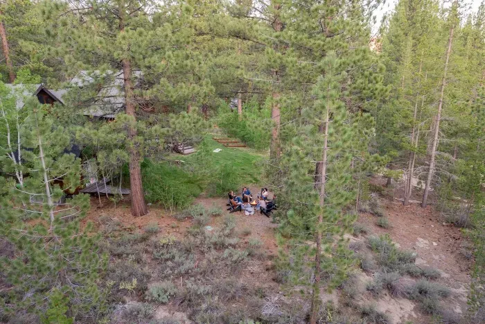 You are truly on the edge of the forest here at our home, yet still just minutes away from town.