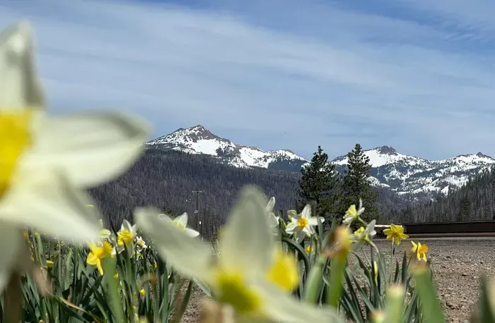 Spring