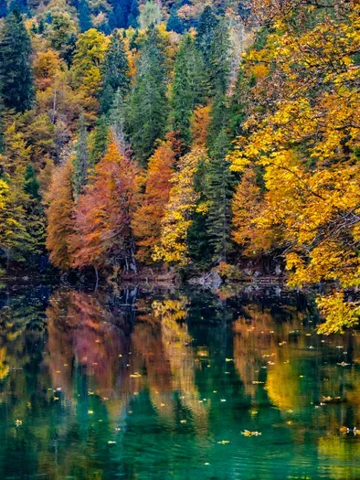 Fall
