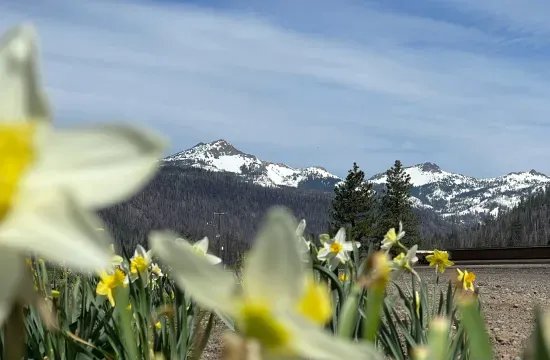 cam-carpenter-YQKm382aqrw-unsplash