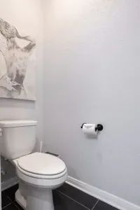 Master Bathroom Toilet Area.