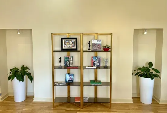 Picasso Elena Shelf 2