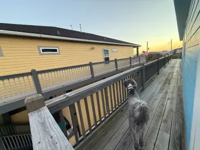 Enjoy a stroll along the wraparound deck, perfect for catching a sunrise, enjoying the evening breeze, or keeping an eye on the kids while they play. With plenty of space, it’s a great spot for quiet mornings, sunset chats, and everything in between.