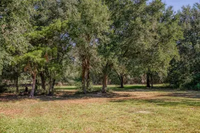 Explore the beautiful natural surroundings! The 5-acre property is bordered by a lush, mature tree line, offering privacy and a scenic backdrop. This open, grassy area is perfect for kids and pets to play and roam freely.