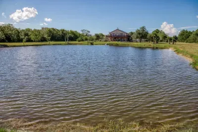 Our beautiful home boasts stunning stone-cladding, a multi-level oversized deck, and direct frontage on a stocked pond. Enjoy the spacious 5-acre property from the deck or waterfront.