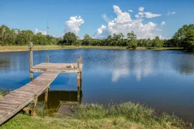 Cast a line from your private fishing pier extending over the tranquil, stocked pond! This peaceful spot is perfect for enjoying the scenery, watching wildlife, or teaching the kids to fish. Enjoy the best of the 5-acre property.