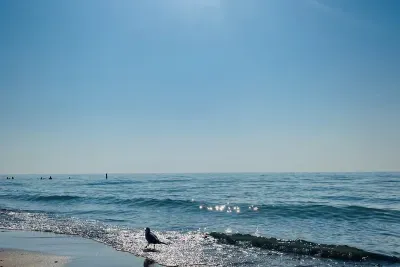 Spend a day at one of our favorites! Warren Dunes State Park- just a few minutes from Bridgewater Acres. 