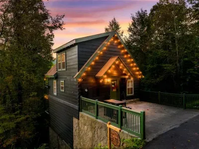 Welcome to Pelelo's Pool Retreat