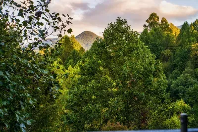 Gorgeous Mountain Views