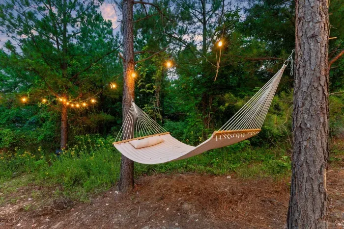 [Backyard] Imagine falling asleep in this hammock. Right under two beautiful pine trees