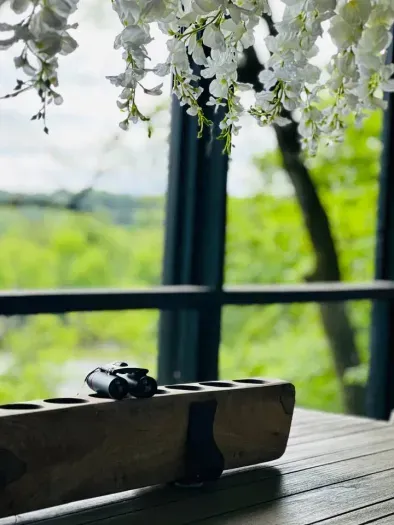 Keep your eyes on the sky—majestic eagles and soaring hawks make regular appearances right from the porch. A birdwatcher's paradise.