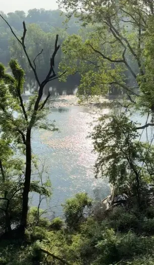From sunrise glows to midday sparkle, the Holston River comes alive with dancing light just outside your window.

