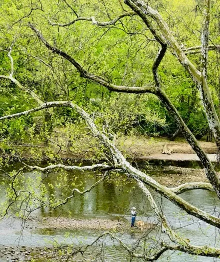 Fishing on the river.