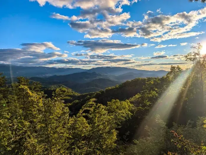 Let the mountains call you. Just a 30-45 minute drive from the treehouse, the Great Smoky Mountains are waiting to be explored—misty trails, hidden waterfalls, and views that take your breath away. Don’t miss the magic.