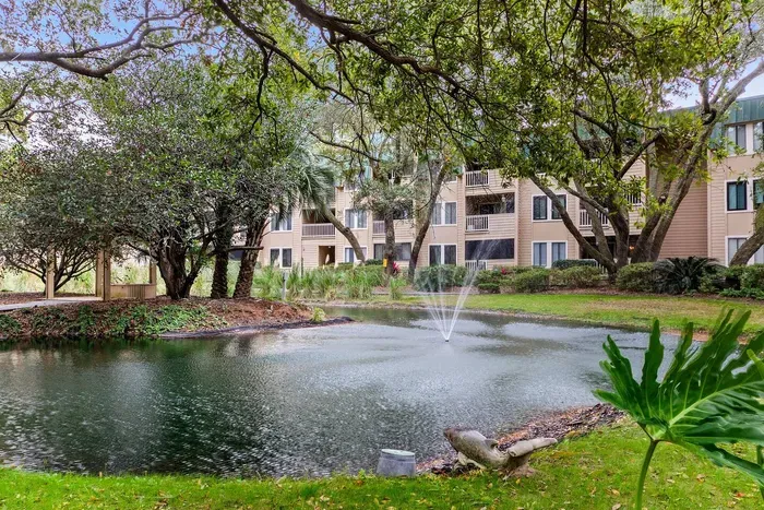 Nice photo of lagoon inside the premise stocked with coi fish featuring a number of native birds as well.