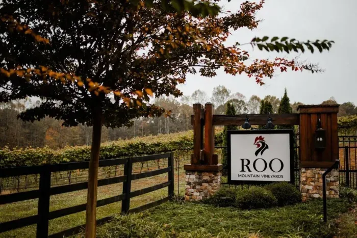 Sip & Savor in Ellijay Wine Country -- Explore the scenic North Georgia wine trail with local gems like Roo Mountain Vineyard—where mountain views meet handcrafted wines. The perfect way to unwind and take in the beauty of Ellijay!