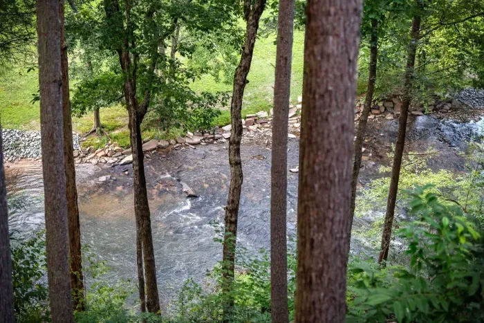 You'll be surrounded by towering trees and the gentle sound of the creek.