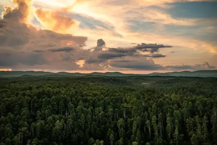 Nestled in the heart of the Blue Ridge Mountains.