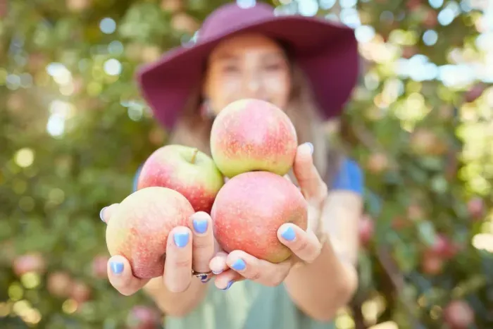 Join the fun every October in the “Apple Capital of Georgia”! The Ellijay Apple Festival features local orchards, handmade crafts, live music, and sweet Southern charm—just a short drive away. Perfect for a cozy fall getaway! 