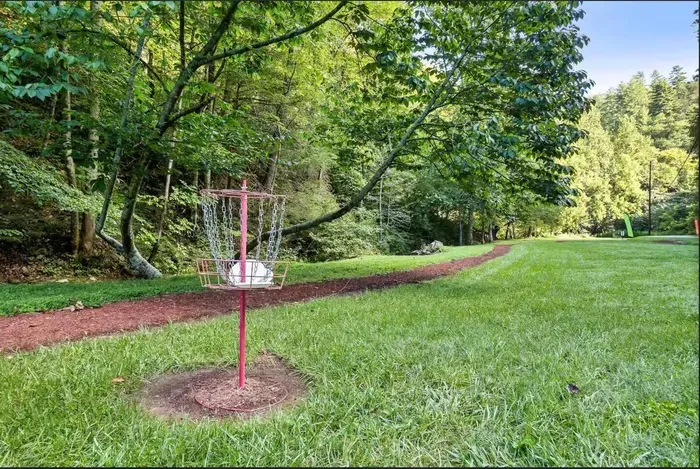 Disc golf course winding through the resort grounds. Free, walkable, and surprisingly competitive by hole three.