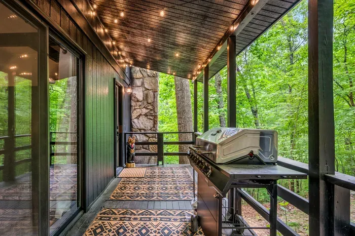 Long covered porch running the side of the cabin, string lights overhead, grill at the end. Dinner and dessert both happen out here.