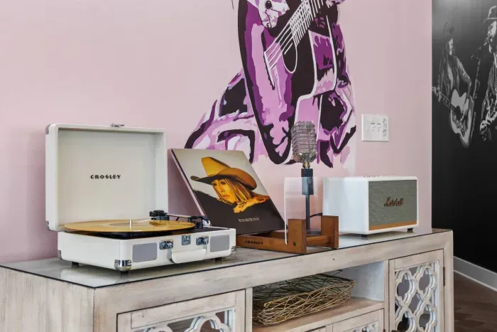 There's nothing better than music on vinyl.  Just sayin.'  Get ready for a night on the town with some classic country music!