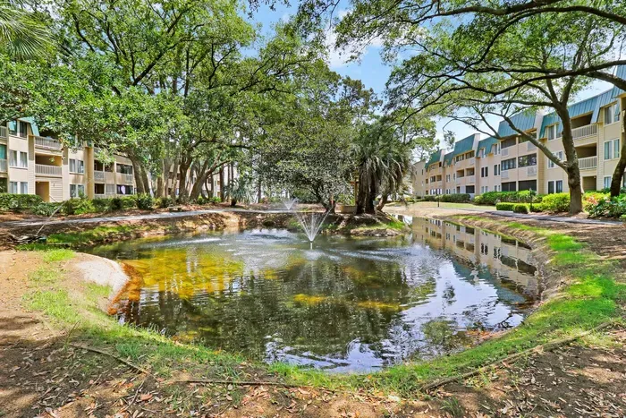 Lagoon within the area