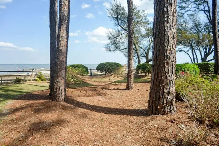 Walkway to the beach