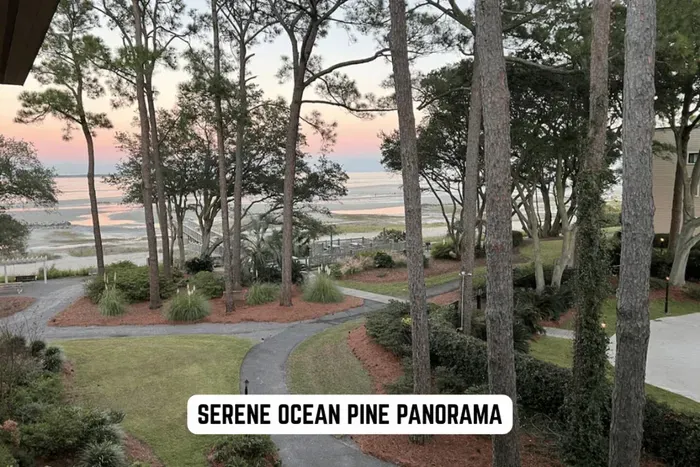 Actual views during the sunset.  Adjacent to the pool as well.