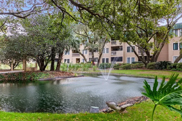 Nice photo of lagoon inside the premise stocked with coi fish featuring a number of native birds as well.