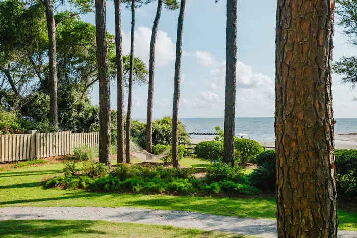 The community lawn between the villa and the beach, complete with a hammock strung between the pines.