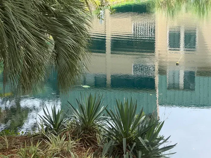 Turtles and Koi Pond directly in front of this villa.