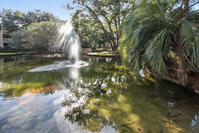 Lagoon with falls