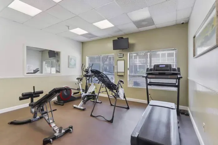 Gym Equipment