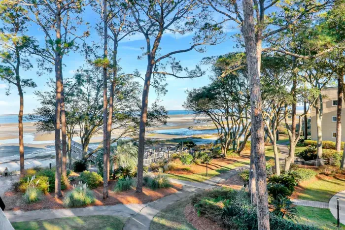 Welcome to Port Royal Sound.  Scenic beachside setting with lush paths, tall pines, and water views.