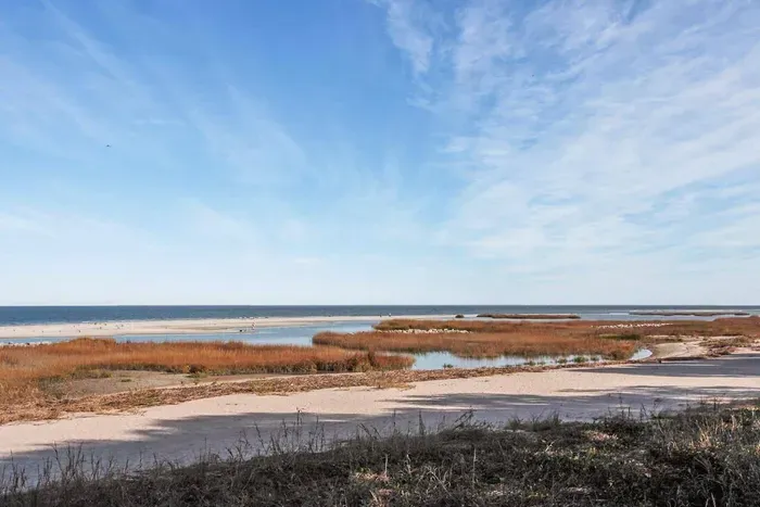 Beach view