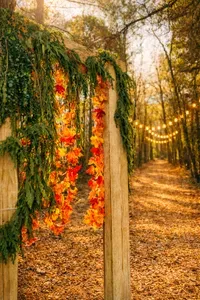 Your farmhouse retreat has it's own HIKING TRAIL area and is romantic at night. You may use it as well as the bonfire and large picnic area when it's not being used by SMF.