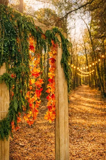 Your farmhouse retreat has it's own HIKING TRAIL area and is romantic at night. You may use it as well as the bonfire and large picnic area when it's not being used by SMF.