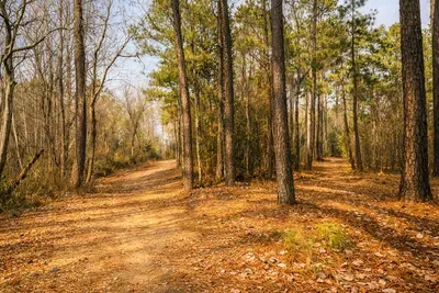 View from hiking trail of bonfire area and house in the distance. Registered guests may enjoy use of the nearby private area nearby during their stay when it’s not being commercially used.