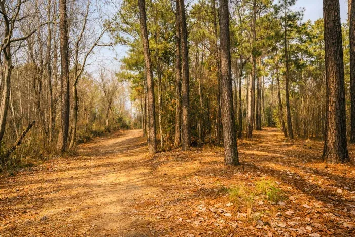 View from hiking trail of bonfire area and house in the distance. Registered guests may enjoy use of the nearby private area nearby during their stay when it’s not being commercially used.