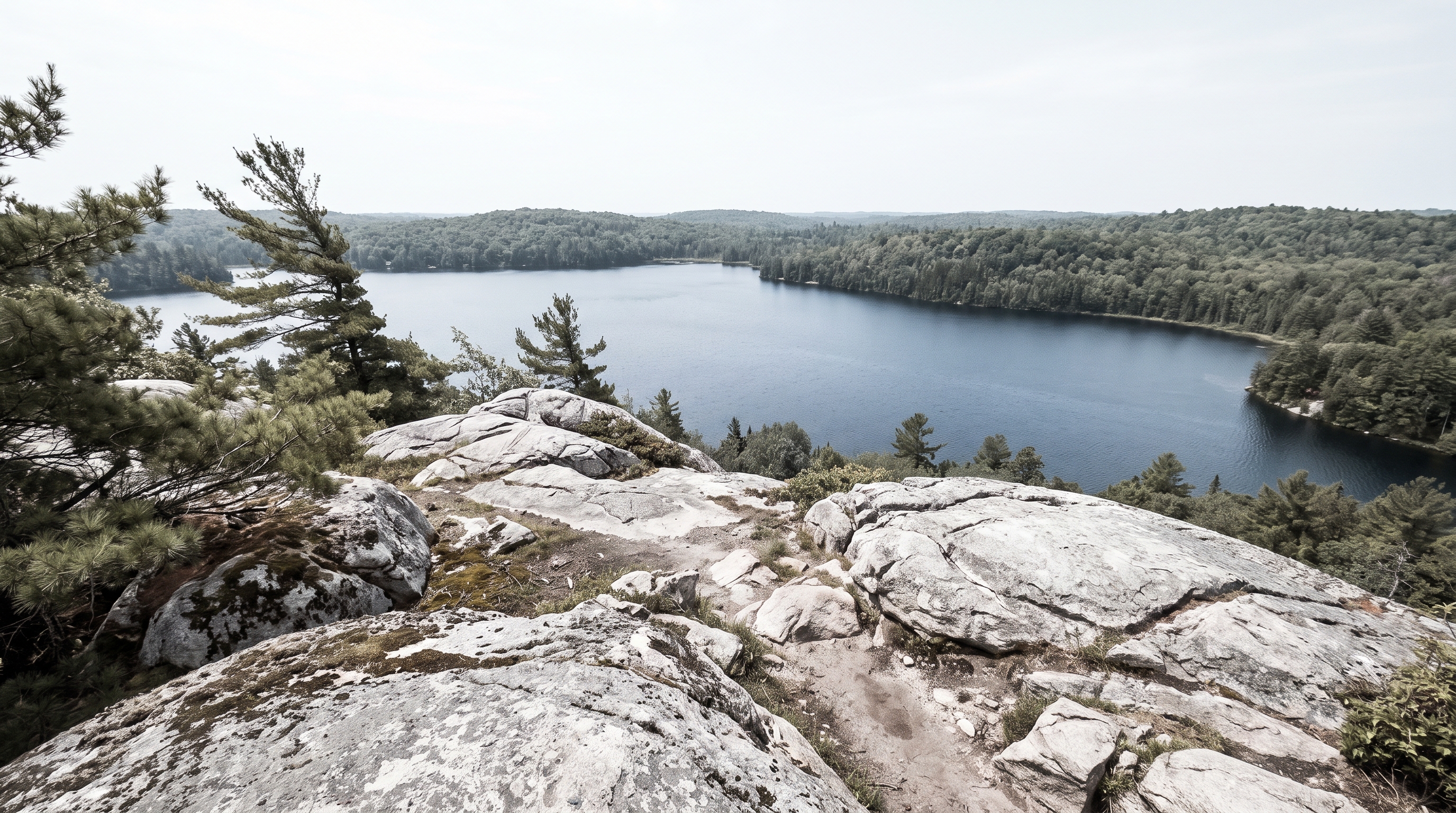 Huckleberry Rock Lookout
