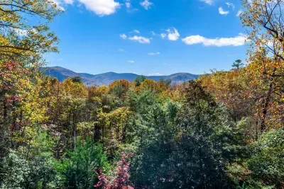 Views of the mountains as you sit on the screened in porch and drink your morning cofee or relax and read a book.  